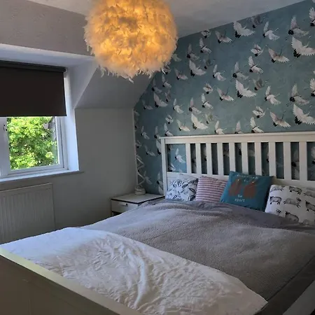 Entire Three Bed House With Garden Hébergement de vacances Bristol